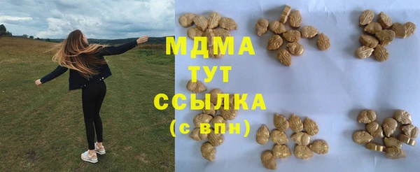 шишки Ельня
