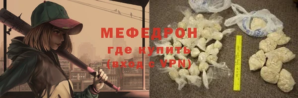 шишки Ельня