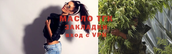 шишки Ельня