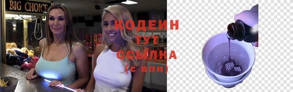 шишки Ельня