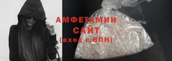 шишки Ельня