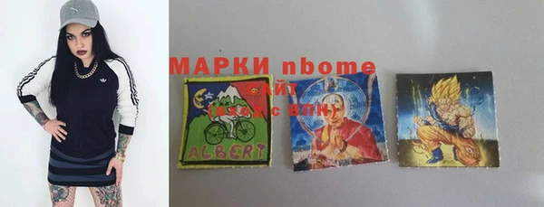 шишки Ельня