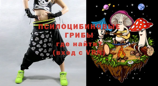 шишки Ельня
