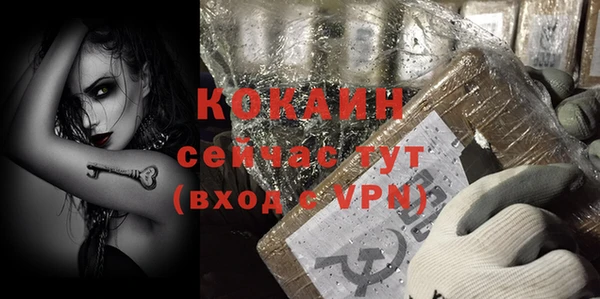 мет Елизово