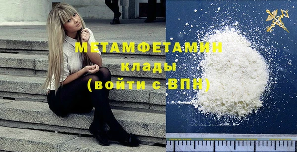 шишки Ельня