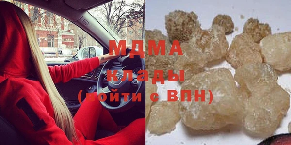 шишки Ельня
