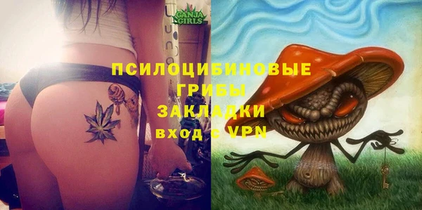 шишки Ельня