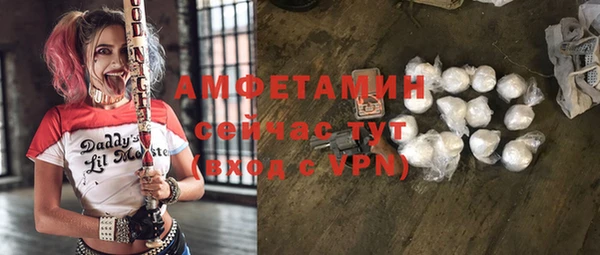 шишки Ельня