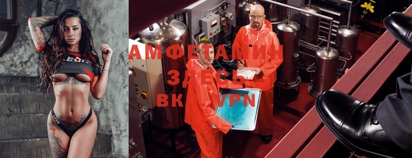 шишки Ельня