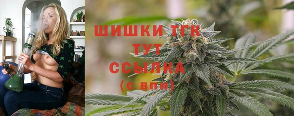 мет Елизово