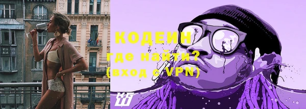 шишки Ельня