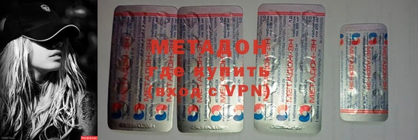 шишки Ельня