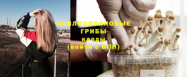 мет Елизово