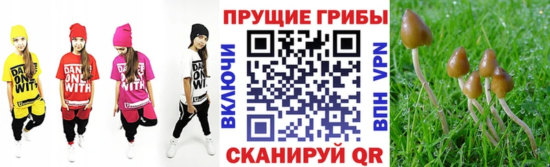 Галлюциногенные грибы Psilocybe  как найти закладки  МЕГА зеркало  Заволжье 