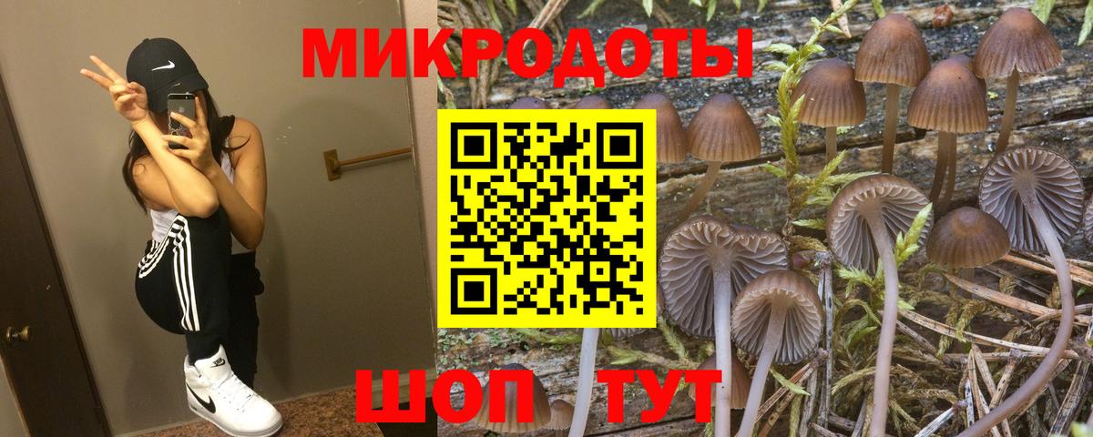 Заволжье  дарнет шоп  Вход с VPN  Галлюциногенные грибы мухоморы  Галлюциногенные грибы Cubensis 
