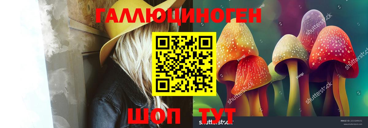 Галлюциногенные грибы Psilocybine cubensis Заволжье